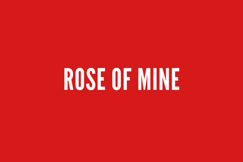 Rose of Mine